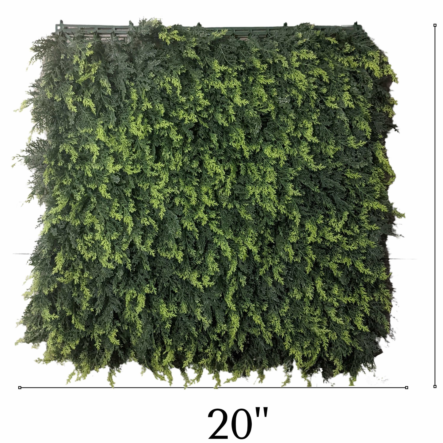 365 Curb Appeal Square Cedar Panel 20 inch