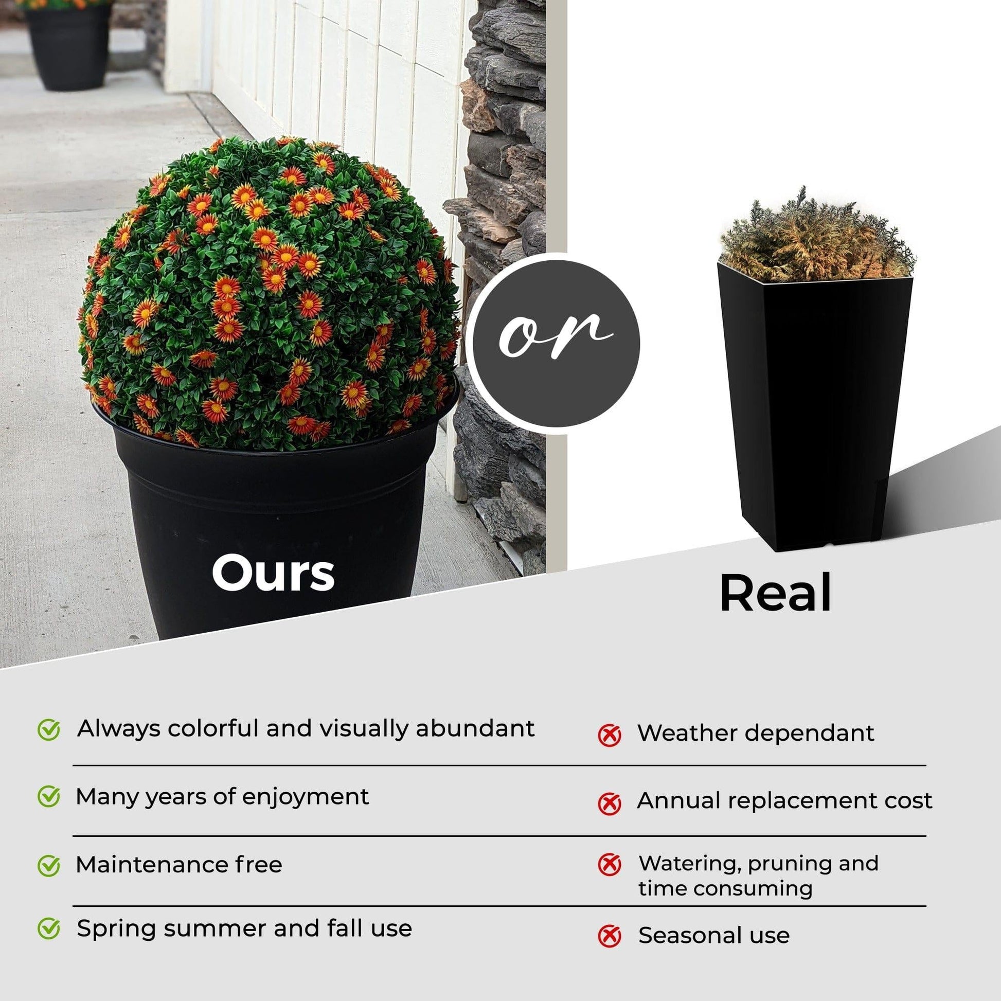 365 Curb Appeal Topiary ball 21" XL Mums Topiary Ball