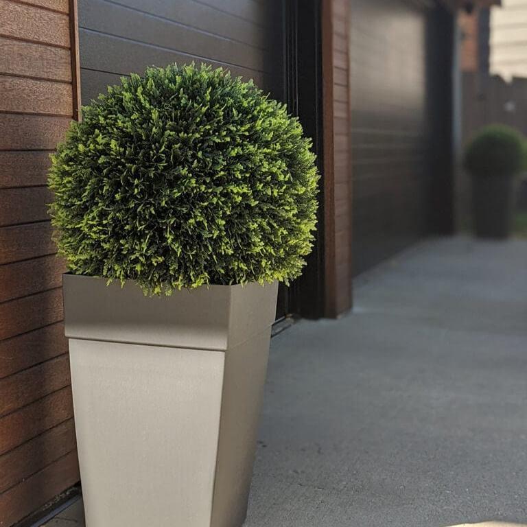 365 Curb Appeal Topiary ball 23" XL Cedar (Cypress) Topiary Ball