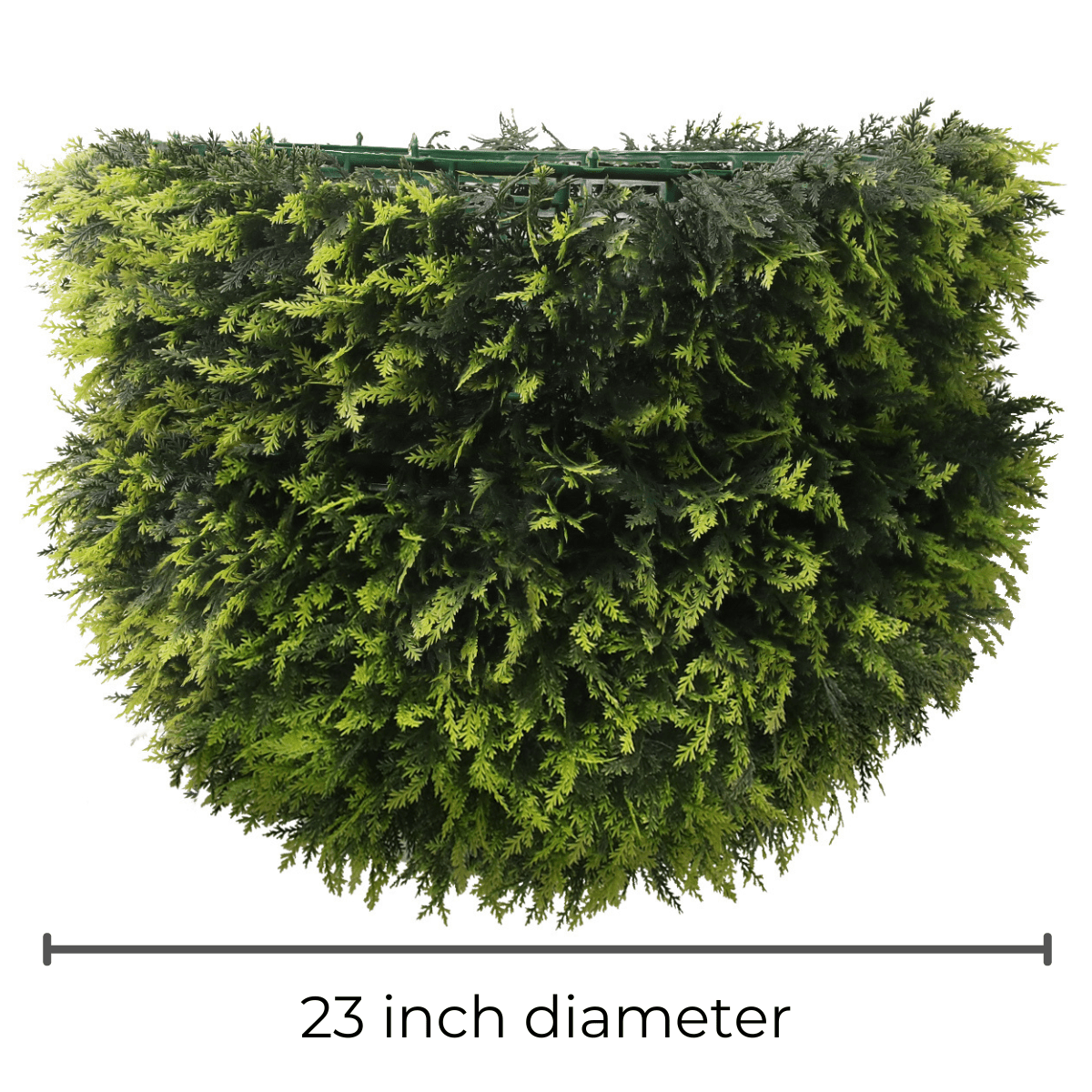 365 Curb Appeal Topiary ball 23" XL Cedar (Cypress) Topiary Ball